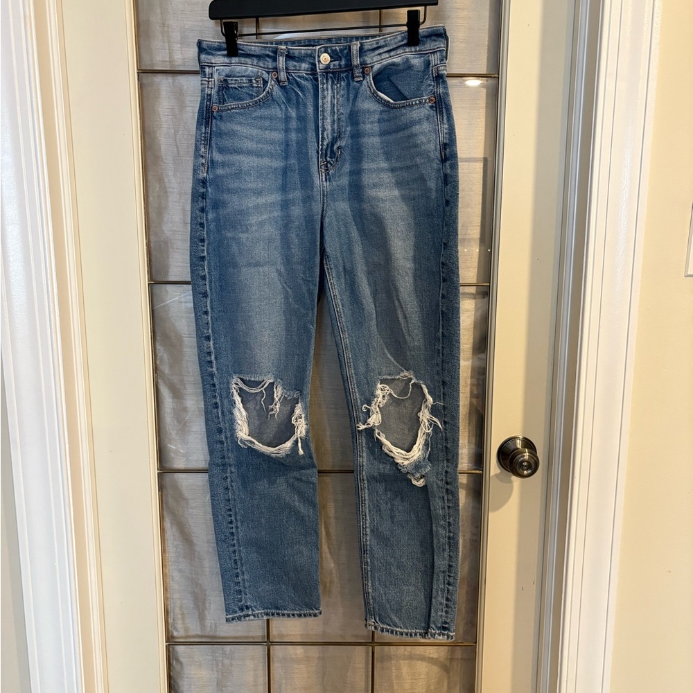 American Eagle Strigid Distressed Mom Jeans